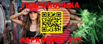 ешки Будённовск