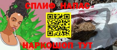 ешки Будённовск